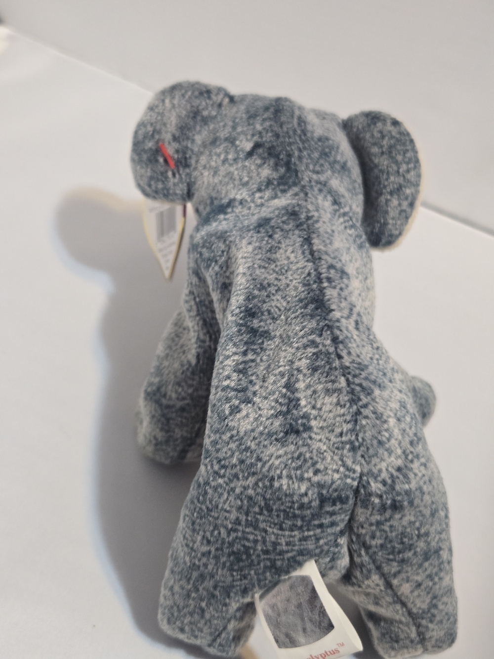 Ty Beanie BabyEucalyptus the Koala- introduced in 1999 - Picture 3 of 11